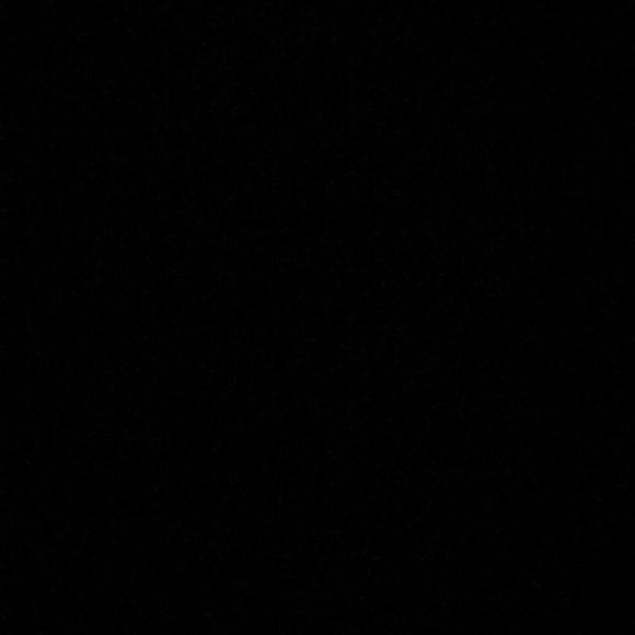 Meet your Posher, Jasmin - Picture 1 of 1